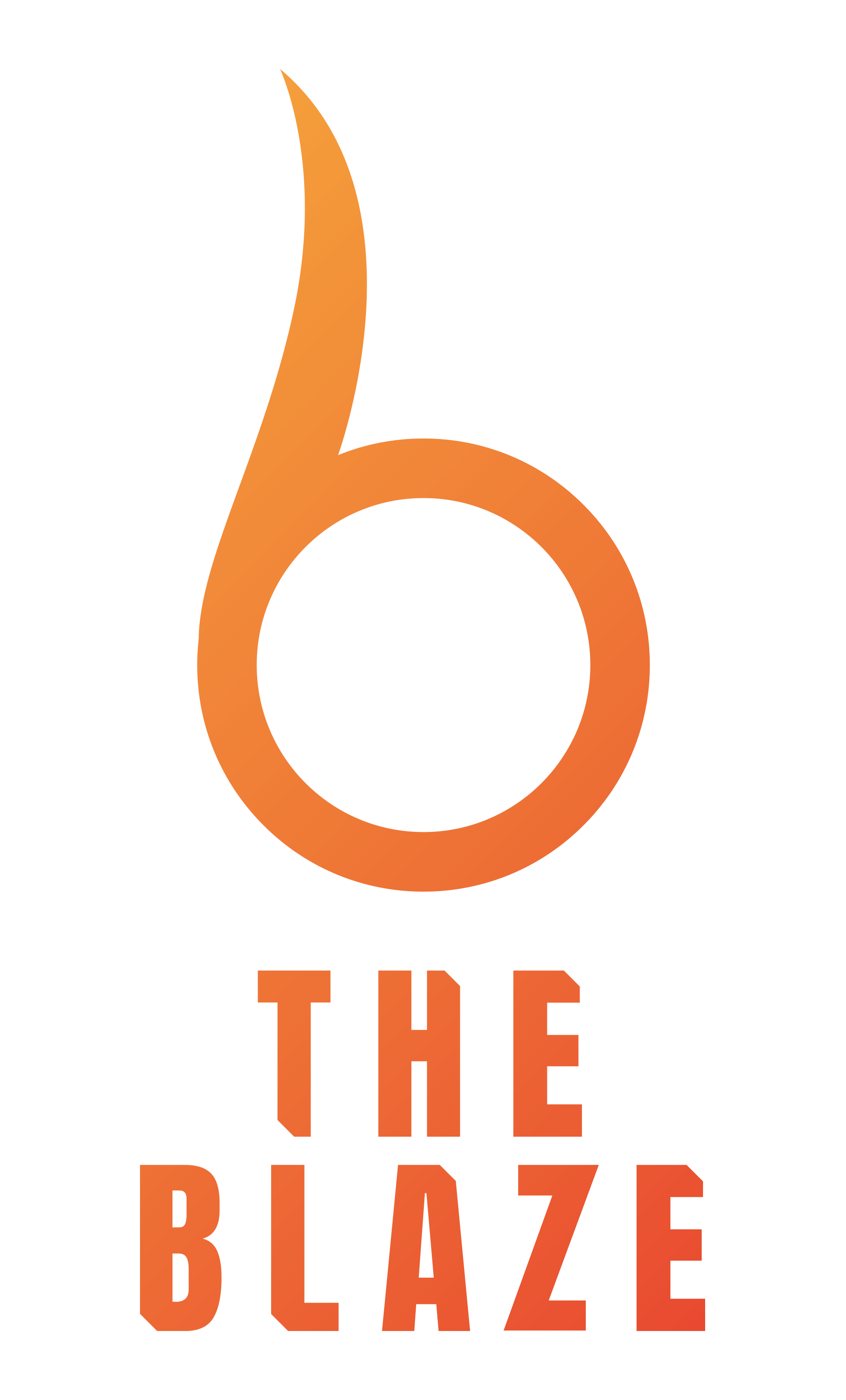 The Blaze Orange Logo