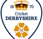Derbyshire Falcons Cricket Logo