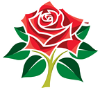 Lancashire Cricket Club Roses Logo (1)