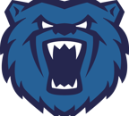 Bears 2020 Logo Colour