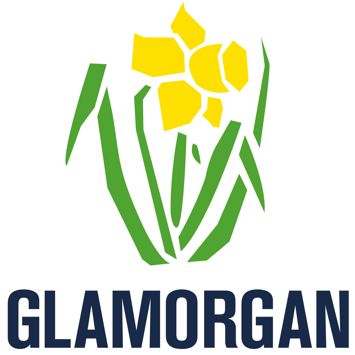 Glamorgan Cricket Club Logo