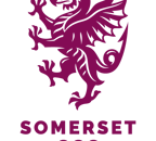 Wyvern Somerset CCC RGB RED