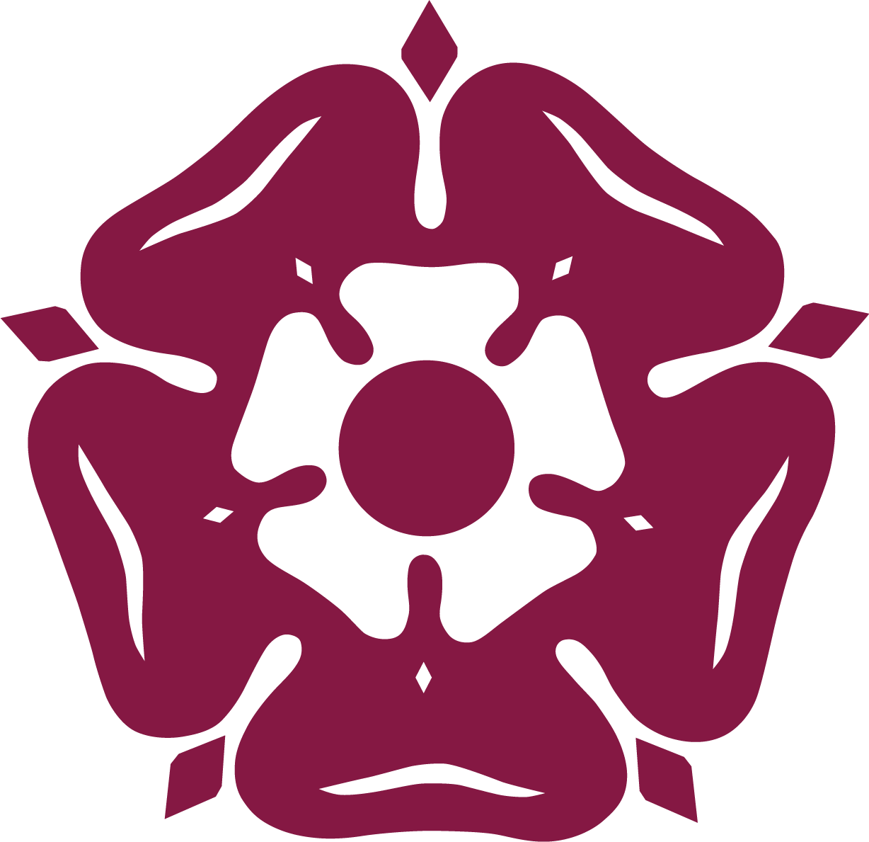 Rose Maroon