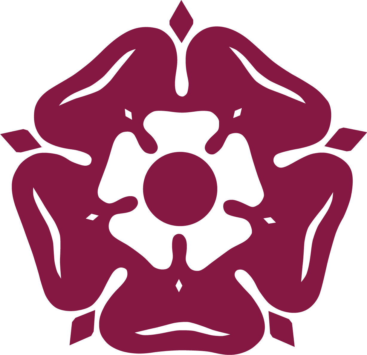 Rose Maroon
