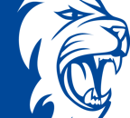 Durham Cricket Club Logo